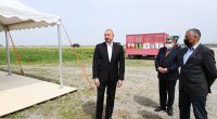 Prezident Hacıqabulda pambıq tarlasında səpin prosesini izlədi - FOTO