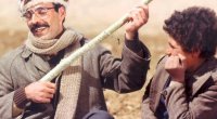 İranın Arazda boğduğu gənc yazar kimdir? – SUİ-QƏSD FAKTLARI