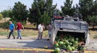 Yük daşıyan maşınlar toqquşdu - Qarpızlar yola dağıldı - FOTO