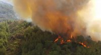 Türkiyədə 25 hektar meşə ərazisi yandı – 1 nəfər ölüb 