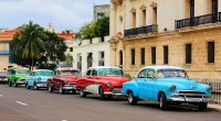 Kubada hamı Elzanı gözləyir – VİDEO