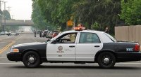 Los Angeles polisi 1,2 milyard dollarlıq marixuananı ələ keçirdi - Karteldə ermənilər də var  