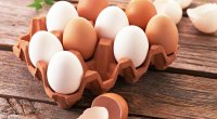 6 ayda quş əti istehsalı artıb – Bəs yumurta? - STATİSTİKA