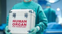 Donor orqanların köçürülməsini reallaşdıran tibb müsəsisələri - SİYAHI 