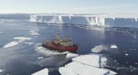 Antarktidada istiləşmənin səbəbi AÇIQLANDI 