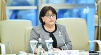 Sahibə Qafarova Vyanada erməni spikerin iddialarını CAVABSIZ QOYMADI