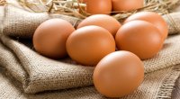 Azərbaycanda yumurta istehsalı azalıb – RƏSMİ 
