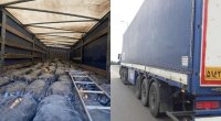 İrandan Azərbaycana gətirilən 64 ton kartof geri qaytarıldı