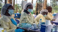 Afrika ölkəsində yeni virus yayılmağa başladı