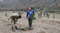 Laçında keçirilən ağacəkmə aksiyasından FOTOLAR