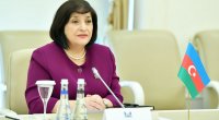 Parlament sədri: “Səfər Mehdiyev mənə zəng vurub…”