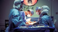 Donuz ürəyi insana uğurla transplantasiya edildi - VİDEO