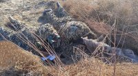 Azərbaycan Ordusunun snayperləri belə təlim keçirlər – FOTO-VİDEO