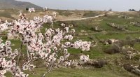 Britaniya səfiri Cəbrayıldan paylaşım etdi - FOTO