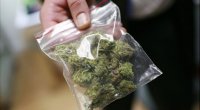 Kənd sakini 15 kiloya yaxın narkotiklə tutuldu
