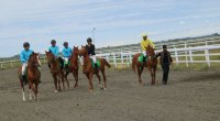 Bərdədə at yarışları keçirildi - FOTO
