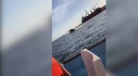 Meksikada suya tullanan balina turistlərin qayığına çırpıldı: Yaralananlar var - VİDEO