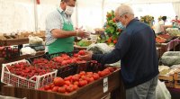 Bakıda və Abşeronda Qurban bayramı yarmarkası keçiriləcək