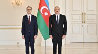 Prezident Almaniya və İsveç səfirlərinin etimadnamələrini qəbul etdi – FOTO 