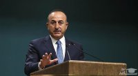 Çavuşoğlu Fransadakı erməni diasporunu tənqid etdi