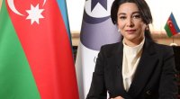 “Ermənistanın diversiya qrupları Qarabağda mina basdırır” – Ombudsman