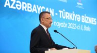 Fuat Oktay: “Türkiyə və Azərbaycan iş adamları maneə ilə üzləşməməlidir”