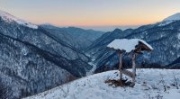 Qarlı havada heyvanlar və quşlar yemləndi – FOTO