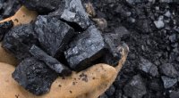 Qubada qanunsuz kömür quyuları AŞKARLANDI 