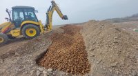 Rusiya, Belarus və Ukraynadan gətirilən 63 tona yaxın kartof yararsız çıxdı