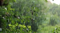 FAKTİKİ HAVA: Bəzi rayonlarda şimşək çaxıb, yağış yağıb