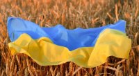 Avropa Komissiyası Ukrayna taxılının Şərqi Avropanın beş ölkəsinə ixracına QADAĞA QOYDU 