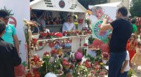 Cəlilabadda çiyələk festivalı keçirilir – FOTO  