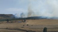 FHN: Xızıdakı yanğında 60 hektar ərazi yanıb
