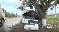 Xocalıda yük avtomobili ağaca çırpıldı - Sürücü öldü