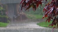 Hava kəskin DƏYİŞİR: Yağış yağacaq, dolu düşəcək - XƏBƏRDARLIQ 