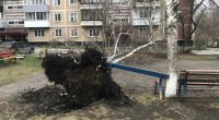 Rusiyada qasırğa: Yaşayış məntəqələri işıqsız qaldı - VİDEO
