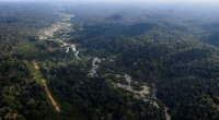 Amazon meşələrində 2,5 min il yaşı olan yaşayış məskənləri AŞKAR EDİLDİ – FOTO  