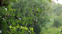 İsraildə 32 ilin ən şiddətli yağışları MÜŞAHİDƏ EDİLİR - VİDEO