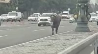 Bakıda buğa avtomobillərlə \