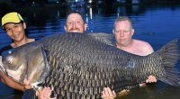 Yeni dünya REKORDU – Tilovla 74 kiloqramlıq balıq TUTDU – FOTO 