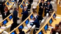 Gürcüstan parlamentində dava düşdü - VİDEO 