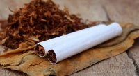 Tütün məmulatının istehsalı üçün YENİ TƏLƏB:  34 milyon manatdan...