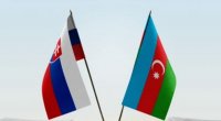 Azərbaycanla Slovakiya arasında sənədlər imzalandı