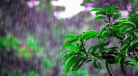 FAKTİKİ HAVA: Yağış yağıb, leysan olub
