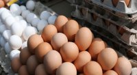 Hər yay ucuzlaşan yumurta bu dəfə BAHALAŞACAQ? – MÜHÜM AÇIQLAMA