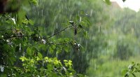 FAKTİKİ HAVA: Şimşək çaxıb, yağış yağıb, külək güclənib