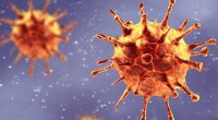 Koronavirusun yeni variantı YAYILDI – Epidemioloqlardan qorxunc AÇIQLAMA