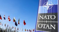 Vaşinqtonda NATO-ya qarşı etiraz - SƏBƏB