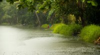Lənkəran-Astara zonasında şimşək çaxıb, yağış yağıb – FAKTİKİ HAVA 