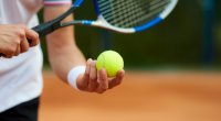 Məşhur tennis turniri üçün itə akreditasiya verdilər - FOTO